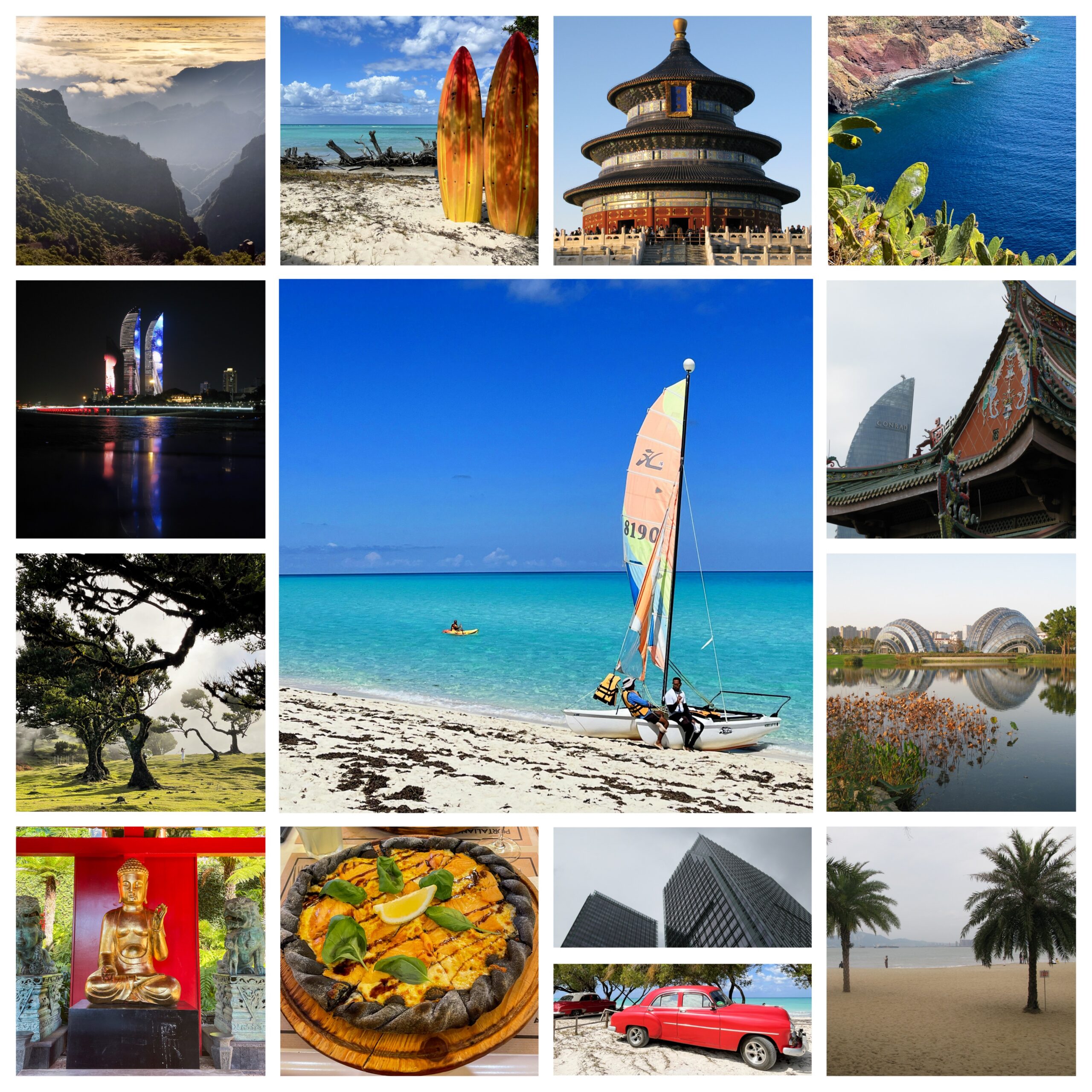 Lunch & Travel Codespring